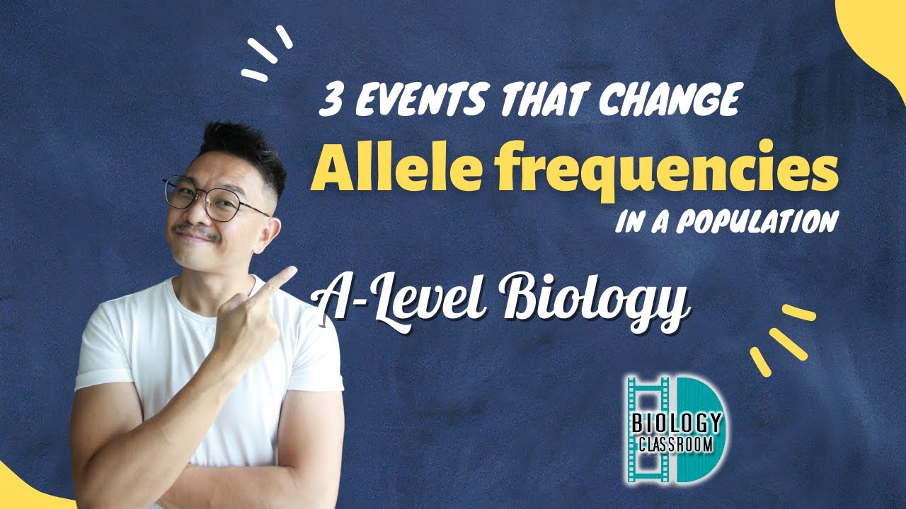 A-Level Biology - 3 events that change allele frequencies in a population