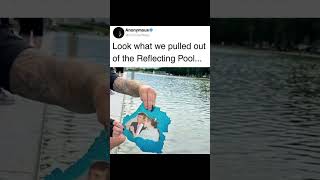 Oops #memes #meme #shortvideo #shorts #short #viralvideo #video #viral #reels #comedy #funny #fyp