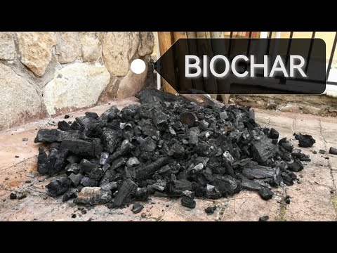 Vídeo: Biochar: informació sobre el biochar com a esmena del sòl