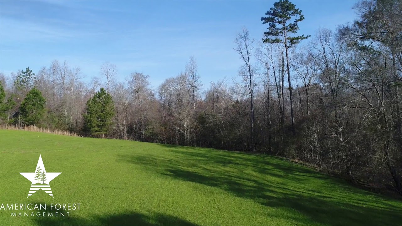 Apalachee River Timberlands YouTube