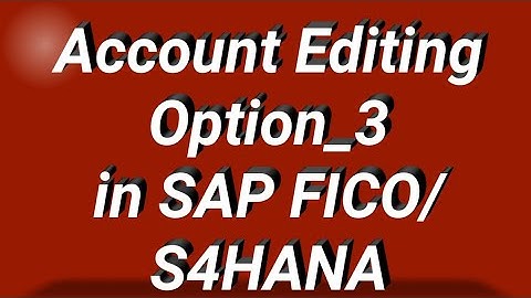 Accounting Editing Option_3 in SAP FICO