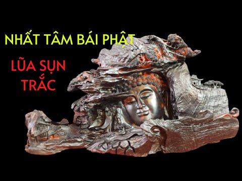 Video Nhất Tâm Bái Phật Gỗ Lũa Sụn Trắc Nghệ Thuật | Gỗ Mỹ... - youtube