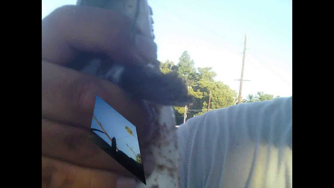 Navajo CatfisH YouTube