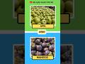 buas asli indonesia #shortsfeed #quiz #belajaragarpintar #buah