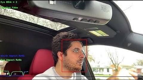 AlgoFace Driver Monitoring System