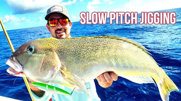 New 2023 Slow Pitch Jig is Deadly| Slow Pitch Jigging ALL Depths | Offshore Fishing | Johnny Jigs