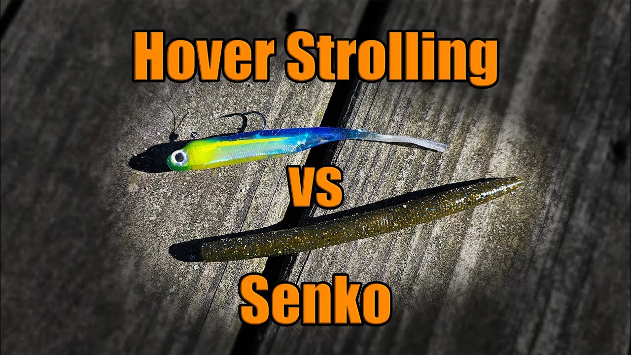Hover Strolling or Senko for Late Fall Fishing? ft @1Rod1ReelFishing 