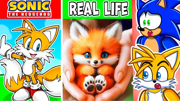Sonic and Tails In REAL LIFE?!