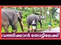 പാമ്പാടി brothers വത്തിക്കാൻ തോട്ടിലേക്ക് 😍😍 Pampadi rajan | Pampadi sundharan