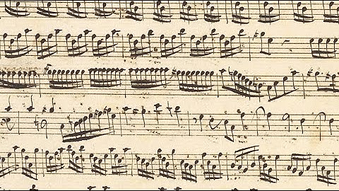 VIVALDI | Early Violin Concerto | RV 813 in D minor | formerly RV Anh. 10 | Vienna manuscript