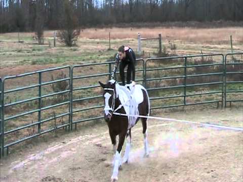 Ashley Preliminary Trot Freestyle