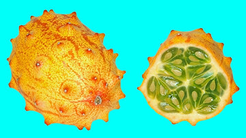 Oddly Satisfying Hidden Patterns Inside Fruit and Vegetables Stop Motion Animation ASMR Tropical