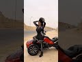 جاهزين تشوفوا الشغل العالي و سلمي الشيمي زتونه