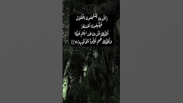 سورة الزمر الآية ١٧ الى ١٩ بصوت الشيخ محمد صديق المنشاوي #القران_الكريم #القران_الكريم_في_الصباح