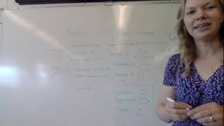 Lesson 2: Angles, Polygons, Triangles, Quadrilaterals