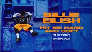 HIT ME HARD AND SOFT: The Tour