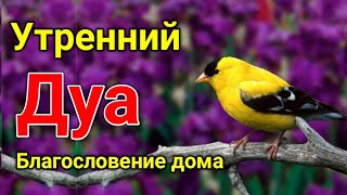 Утренний Дуа. Дуа Каждое Утро