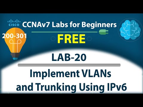 Implement VLANs and Trunking Using IPv6 - Lab20 | Free CCNA 200-301 Lab Course