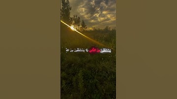 القارئ محمد اللحيدان {سورة النساء الآيه108}#يستخفون_من_الناس_ولا_يستخفون_من_الله #محمد_اللحيدان
