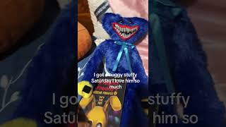 That’s my brothers fnaf book I’m gonna read it eventually