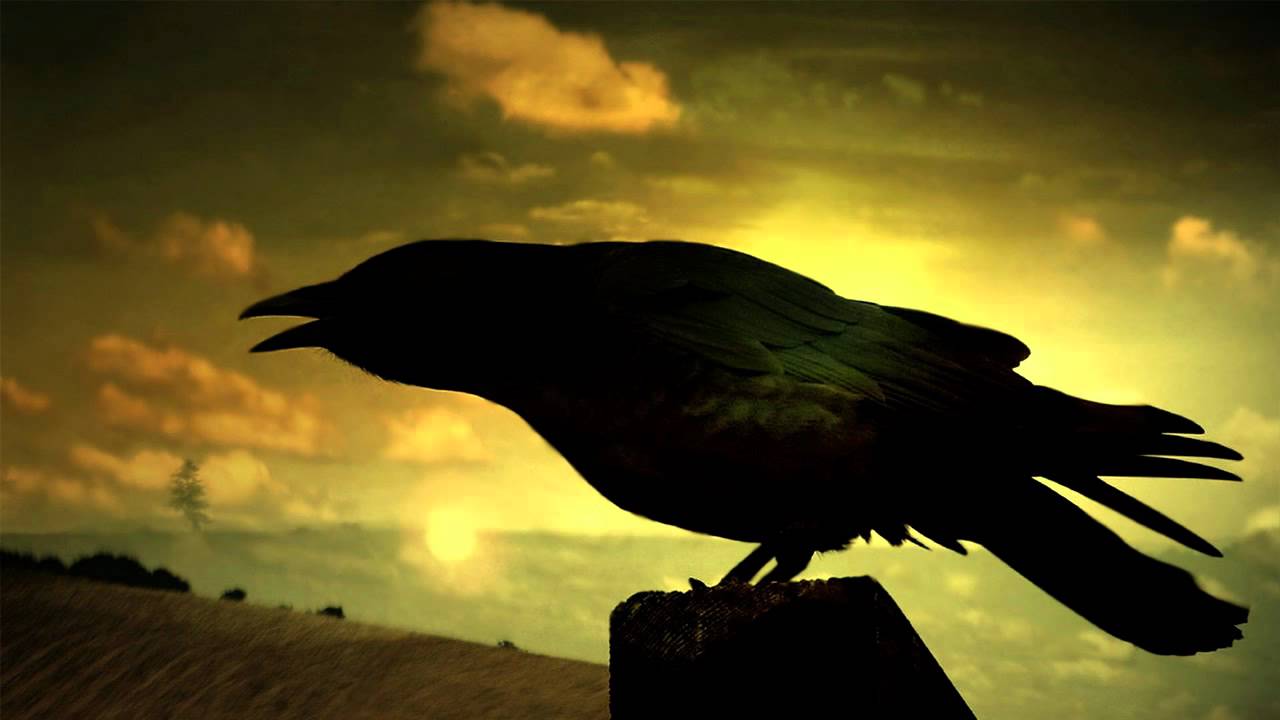 Hike - Soulmate (Titan & Fearcry's Progressive Trance & Bass Remix) [CLIP]