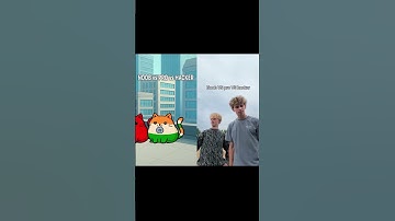 VILLAGE NOOB vs PROFESSIONAL vs HACKER 😱 #countryhumans #countrycats