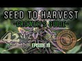 🌱 Seed to Harvest - Growers Choice Seeds & FastBuds 420 | Growing at 86°F with CO₂ & More - Part 10🔥