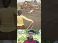 RDR2 🔥 হঠাৎ সিংহের মারাত্মক ঝাঁপ! মানুষটা কি বাঁচতে পারবে? #shorts #gaming #trending
