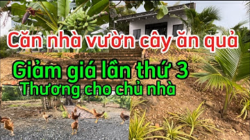 ĐÃ BÁN.        CÂY ĂN QUẢ GIẢM GIÁ LẦN THỨ 3 CHỦ NHÀ QUÁ KẸT ANH CHỊ XEM MUA VỀ LÀM NHÀ VƯỜN QUÁ ĐẸP