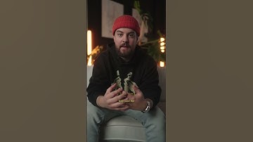 Use promist in your next video! #cinematic #filmmaking