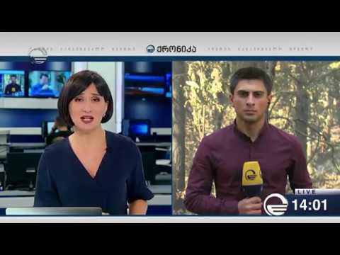 ხახაბოს ტყეში ხანძარი ლოკალიზებულია LIVE