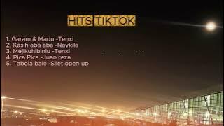 LIST MUSIK TIKTOK