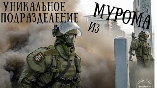 БШИР ! Уникальное подразделение инженерных войск!