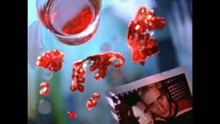Paul Van Dyk - Forbidden Fruit (1997) Hd