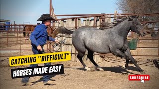 D/C  CATCHING 'DIFFICULT' HORSES MADE EASY  |  Have Your Horse Come To You Every Time