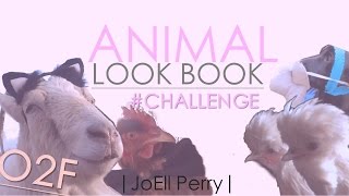 My Farm Animals Play Dress Up Joell Perry