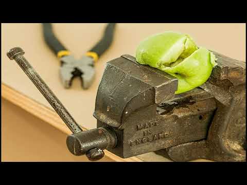 مراجعة شرح سريع امتحان شهر نوفمبر فيزياء لغات Senior 2 2026