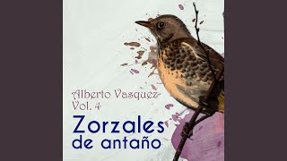 Olvidalo