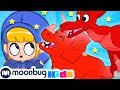 Morphle em Português - morphle e os dinossauros! | vídeos de animais | Desenhos para Crianças