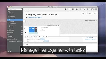 Pagico for Desktop Overview (2014 May)