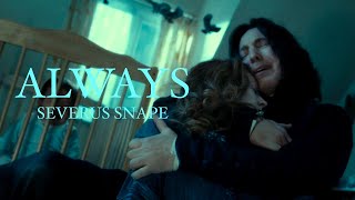 Severus Snape | Always | Experience