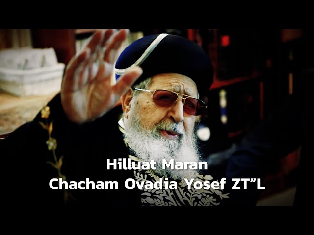 Yigit eshagiga sabzi tiqdi.