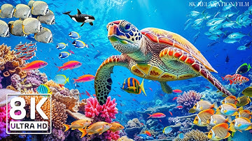 Dive Into the Mesmerizing Underwater Realm🐳 Marvel at Sea Animal in The Best 8K ULTRA HD Aquarium #5
