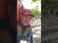 Cosecha de uva 2021 en Mendoza /reporte
