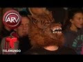 Hombres lobo aúllan a la luna por lograr record Guinness | Al Rojo Vivo | Telemundo