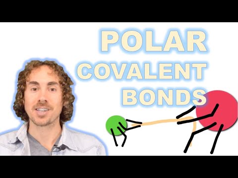 Polar Covalent Bonds