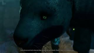 Wild Shape visual glitch: You can change back any time, Halsin... | Baldur's Gate 3