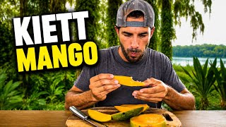 Kiett Mango Taste Test - The best commercial variety