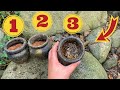 We Found Three Priceless Treasures / Metal Detecting