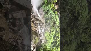 IMG 7709